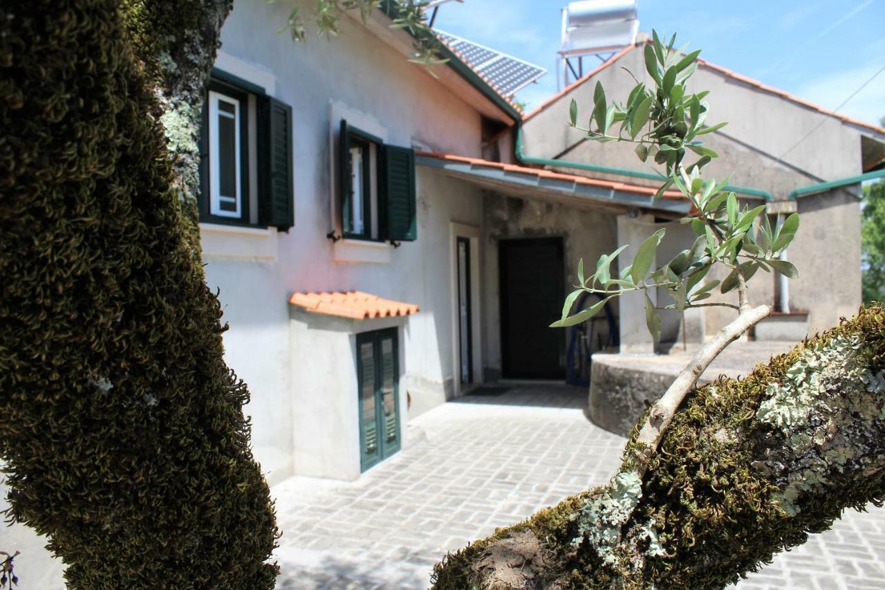 Casa Da Maria Moca Villa Fatima Exterior photo